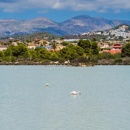 Costablancadreams Morello 5a In